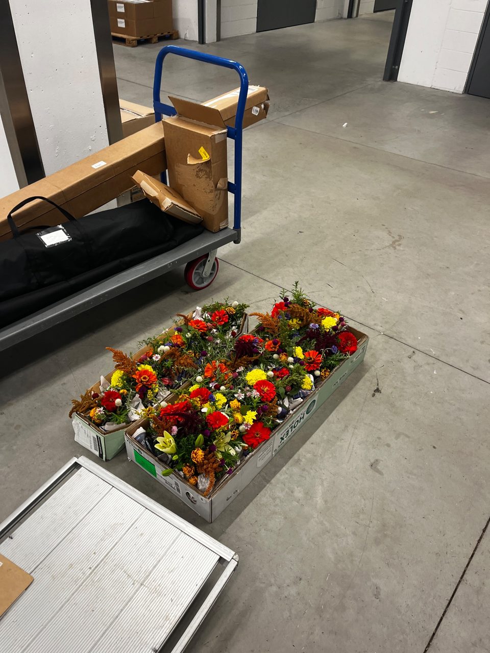 Drop off Delivery by Southside Blooms