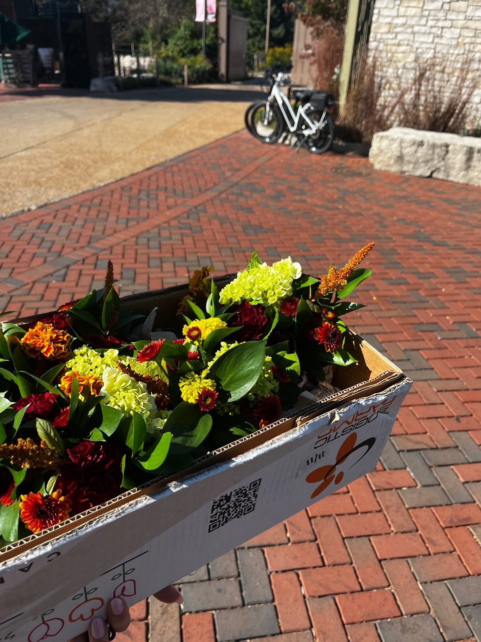 Drop off Delivery by Southside Blooms