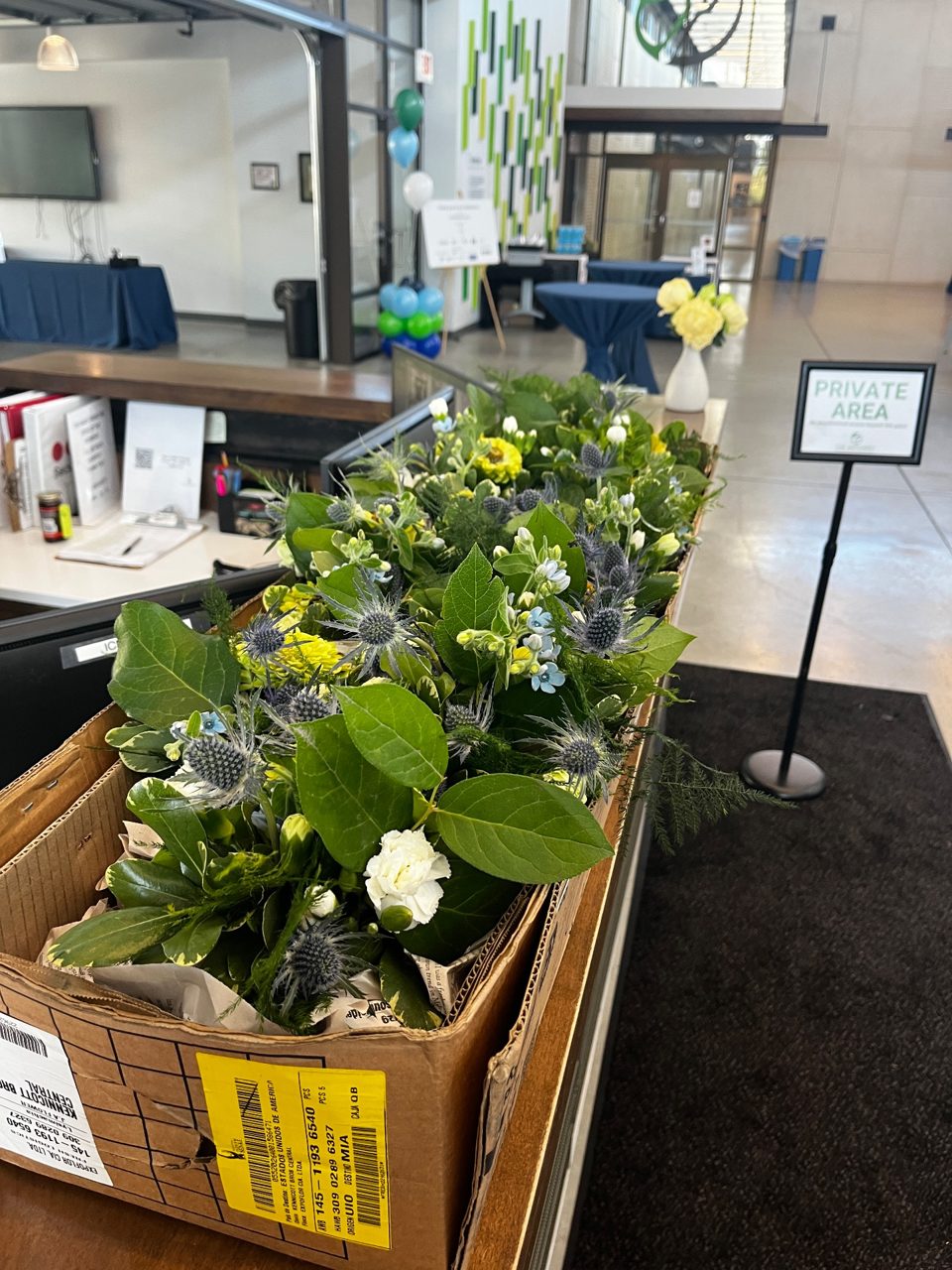 Drop off Delivery by Southside Blooms