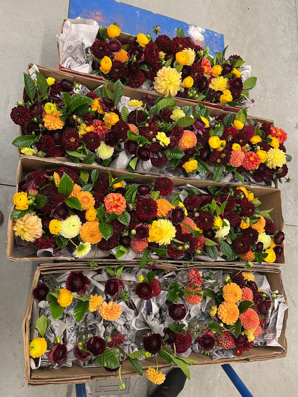 Cocktail Hour Bud Vases - High Boys by Southside Blooms