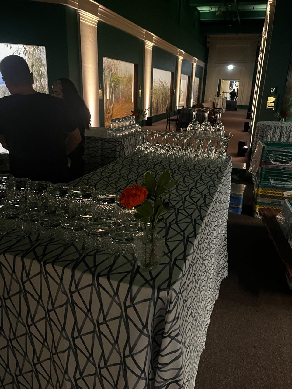 Highboy Bud Vases by Southside Blooms